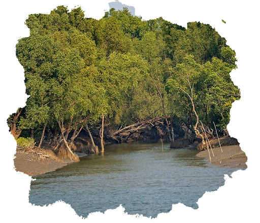 https://www.sundarbanexplore.com/wp-content/uploads/2023/04/unnamed-1.jpg