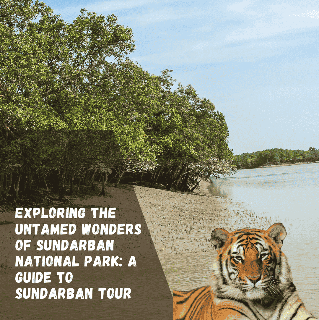 https://www.sundarbanexplore.com/wp-content/uploads/2024/11/Blog-Banner-for-Website-Content-1-e1732807341199.png