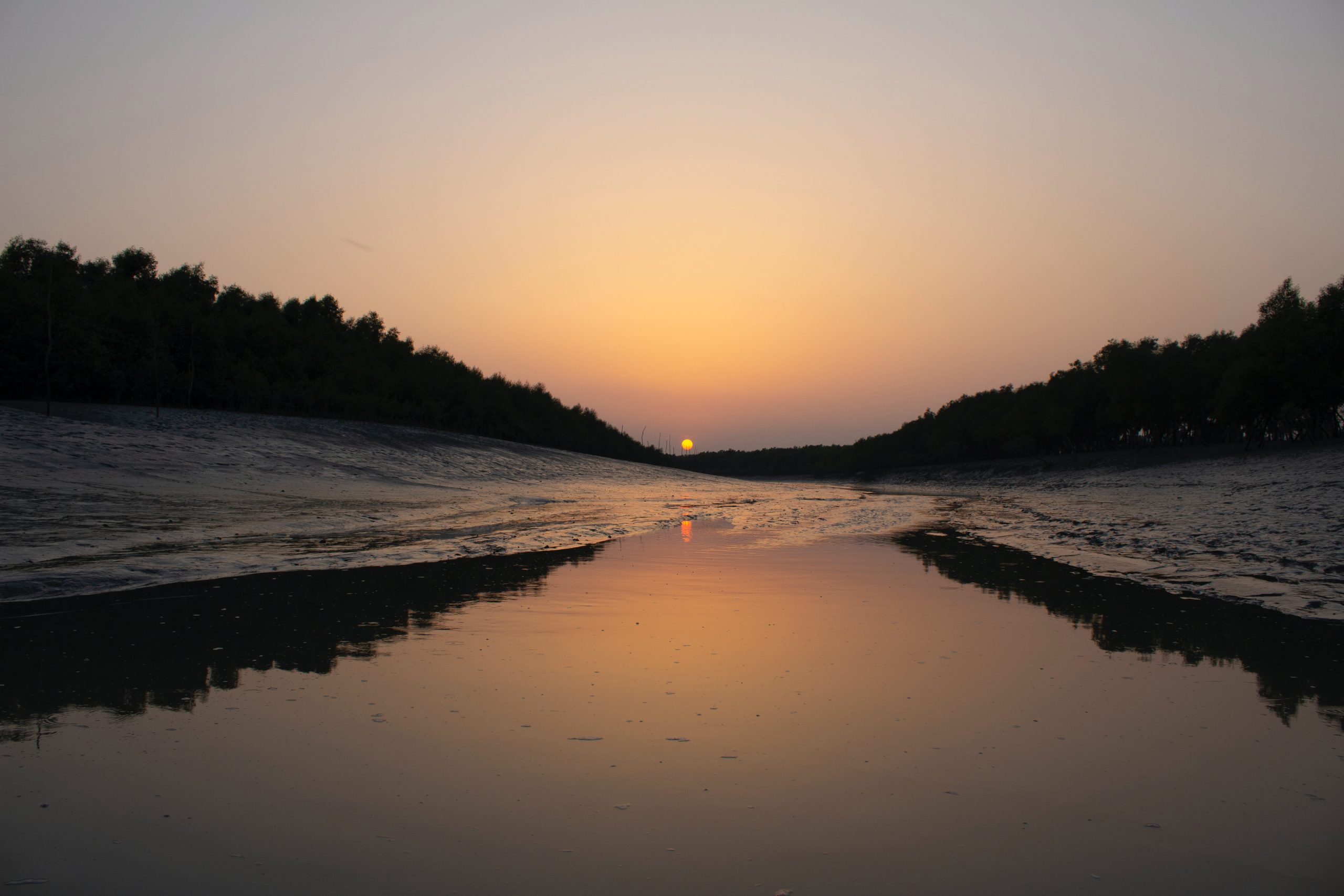 https://www.sundarbanexplore.com/wp-content/uploads/2024/12/Sundarban-Pic-scaled.jpg